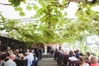 Vilagrad wedding Gallery